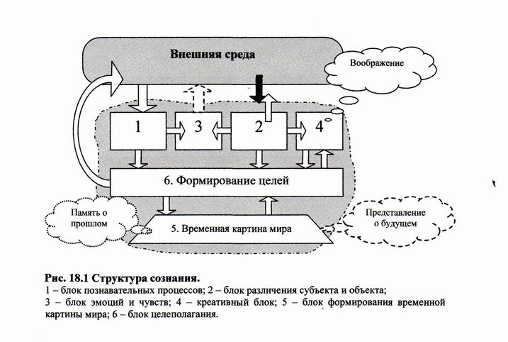схема сознания структура