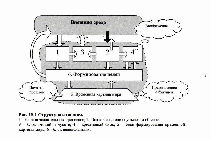 Контрольная работа: Структура и функции сознания