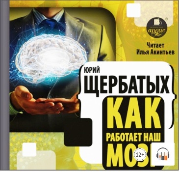 How%20brain%20working%20 350