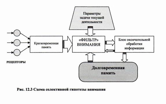 Схема внимания грациано